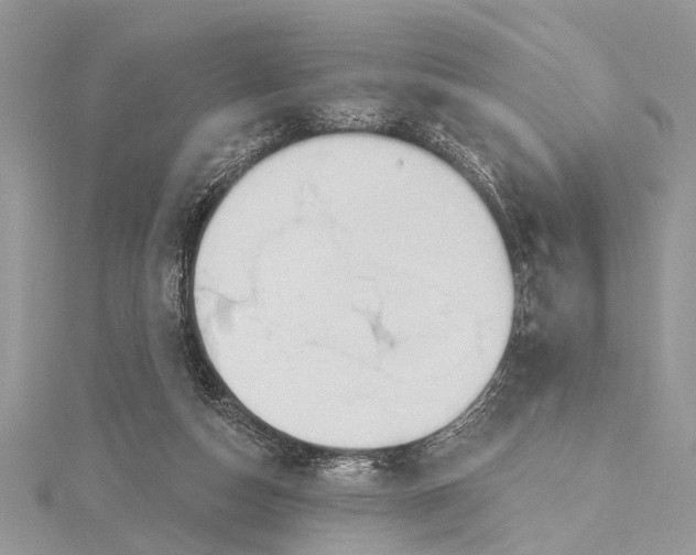 X0000115630162200912011448