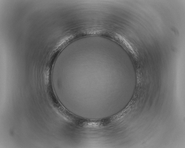 X0000115630163200912011448