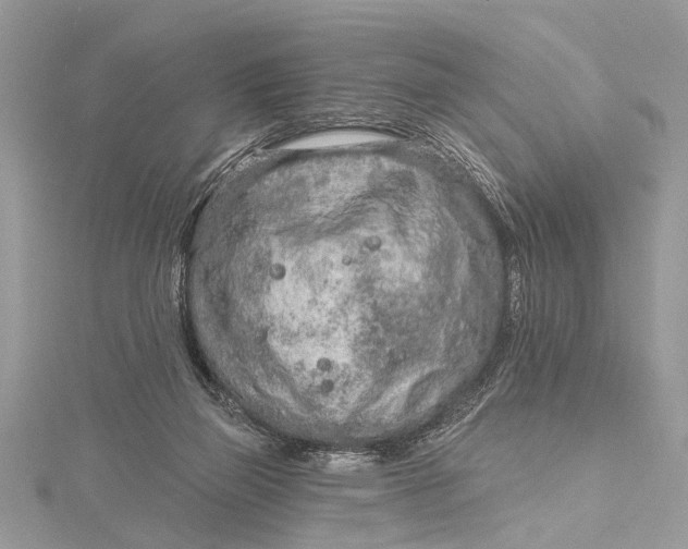 X0000115630165200912011448