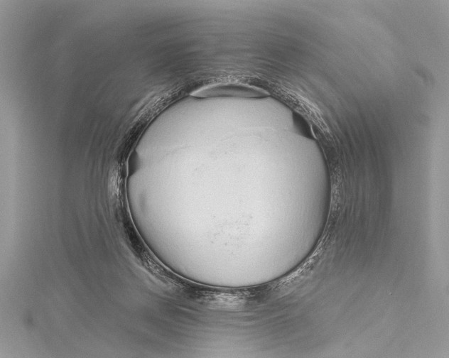 X0000115630166200912011448