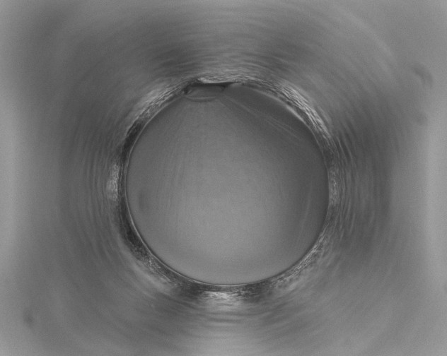 X0000115630167200912011448