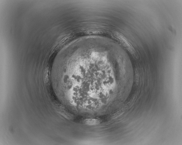 X0000115630169200912011448