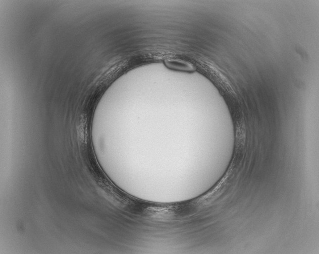 X0000115630170200912011448