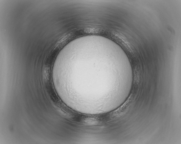 X0000115630171200912011448