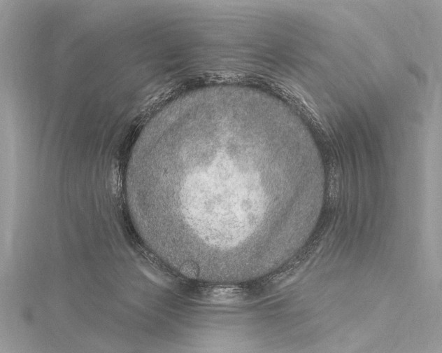 X0000115630173200912011448