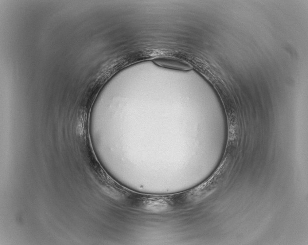 X0000115630175200912011448