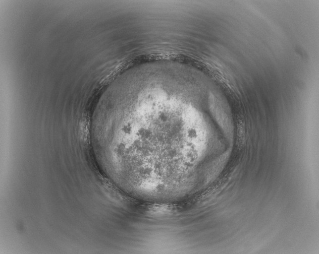 X0000115630177200912011448