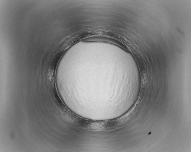 X0000115630178200912011448