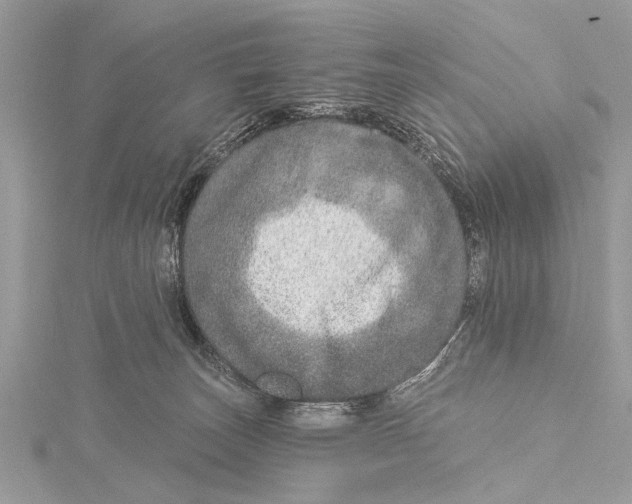 X0000115630179200912011448