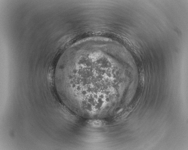 X0000115630181200912011448