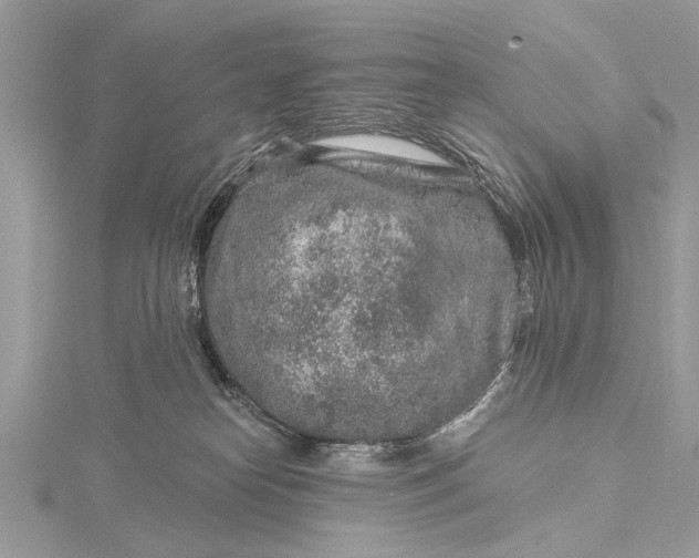 X0000115630182200912011448