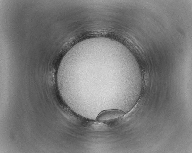 X0000115630183200912011448