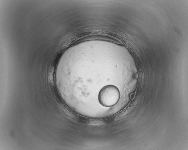 X0000115630185200912011448