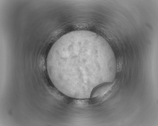 X0000115630187200912011448