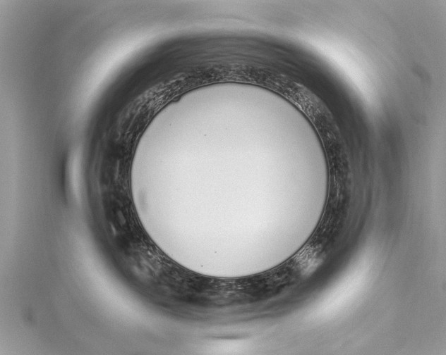 X0000115630189200912011448