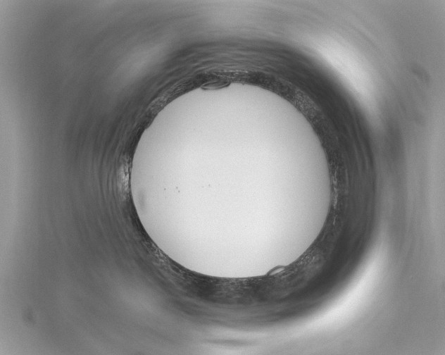 X0000115630190200912011448