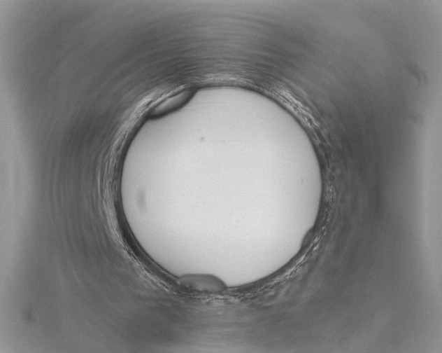 X0000115630193200912011448