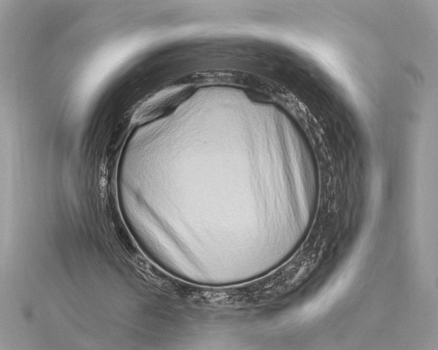 X0000115630194200912011448