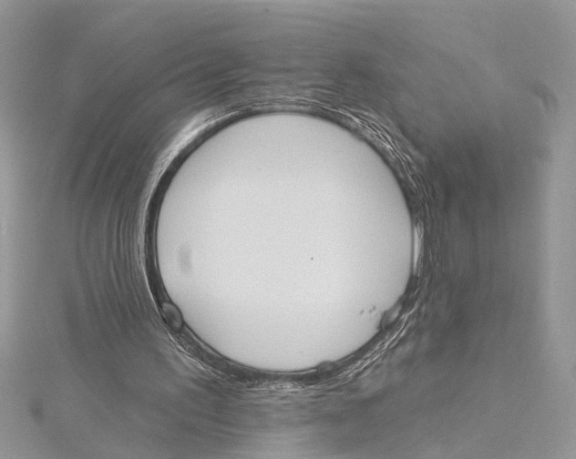 X0000115630195200912011448