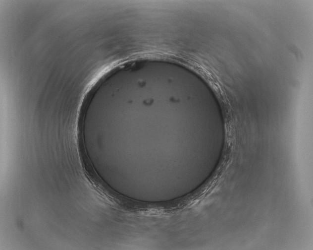 X0000115630196200912011448