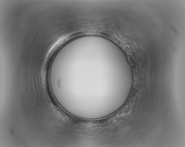 X0000115630197200912011448