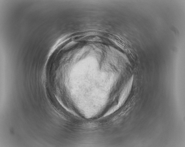 X0000115630198200912011448