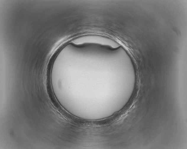 X0000115630199200912011447