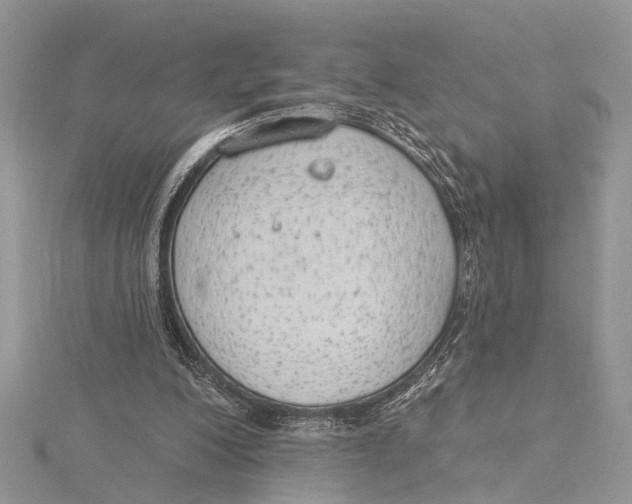 X0000115630200200912011447