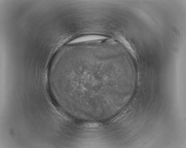 X0000115630202200912011447