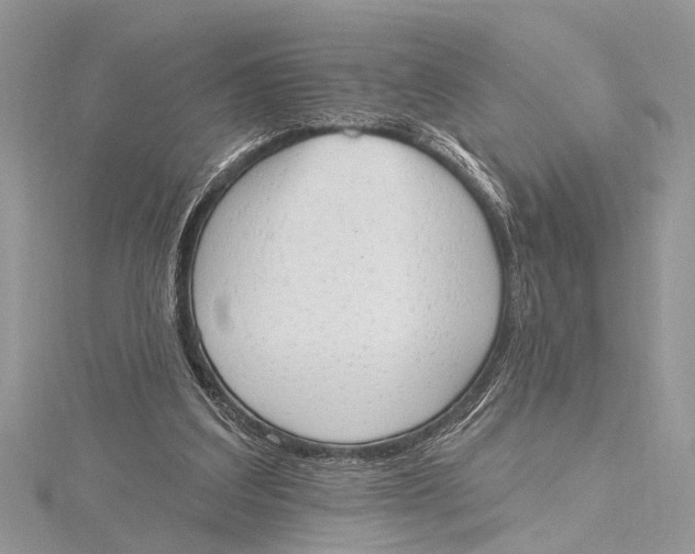 X0000115630203200912011447