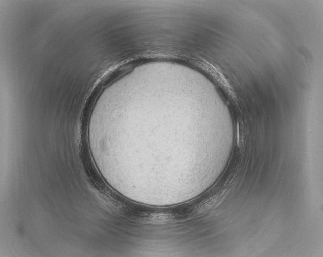 X0000115630204200912011447