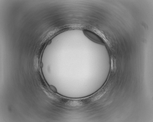 X0000115630205200912011447