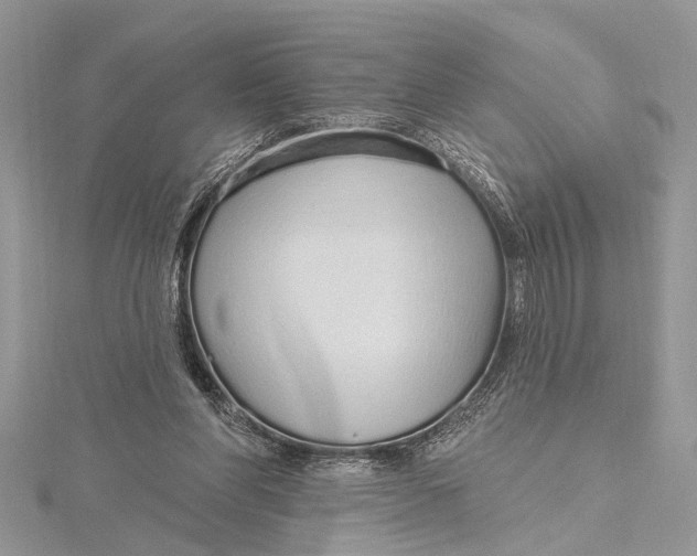 X0000115630206200912011447