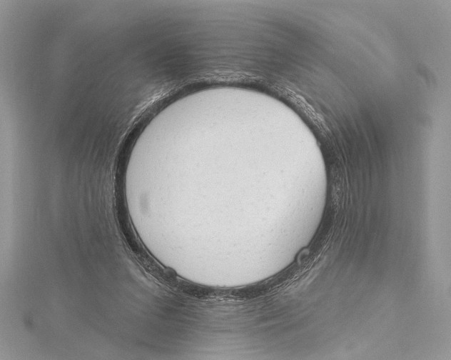 X0000115630207200912011447