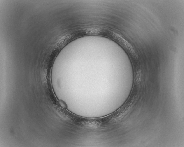 X0000115630209200912011447