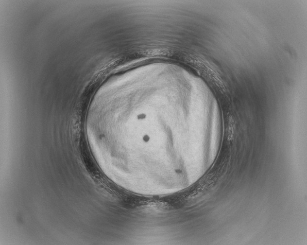 X0000115630210200912011447