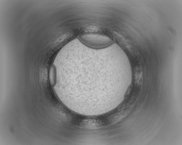 X0000115630211200912011447