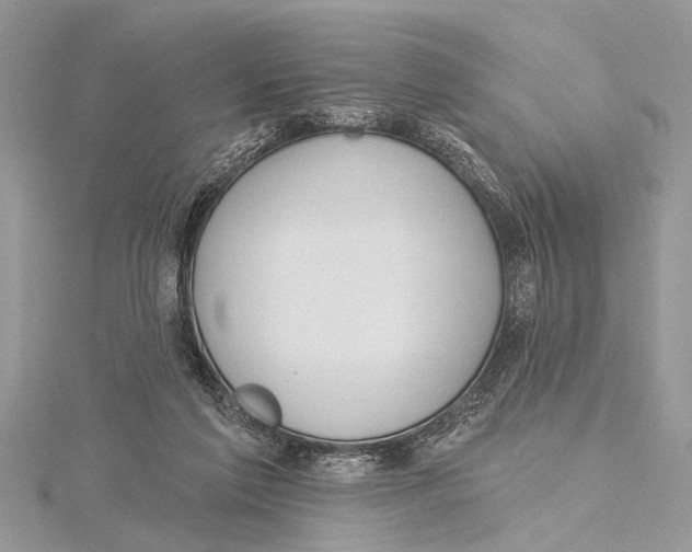 X0000115630213200912011447