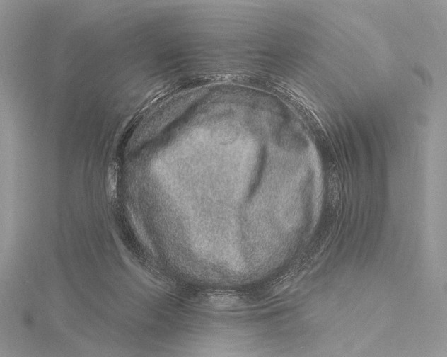 X0000115630214200912011447