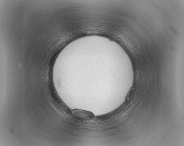 X0000115630215200912011447