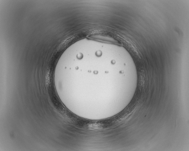 X0000115630216200912011447