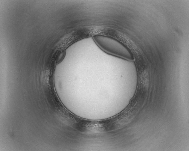 X0000115630217200912011447