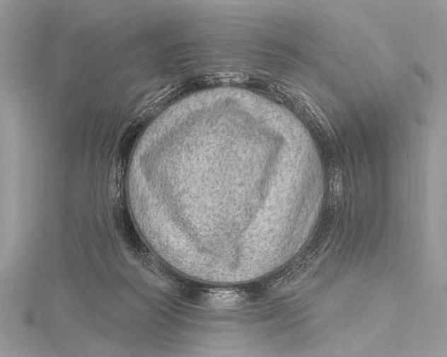 X0000115630218200912011447