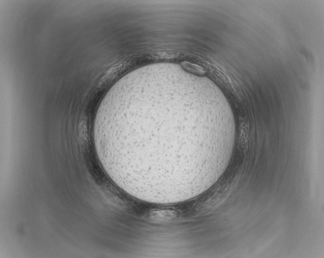 X0000115630220200912011447