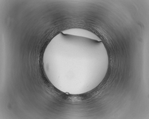 X0000115630221200912011447