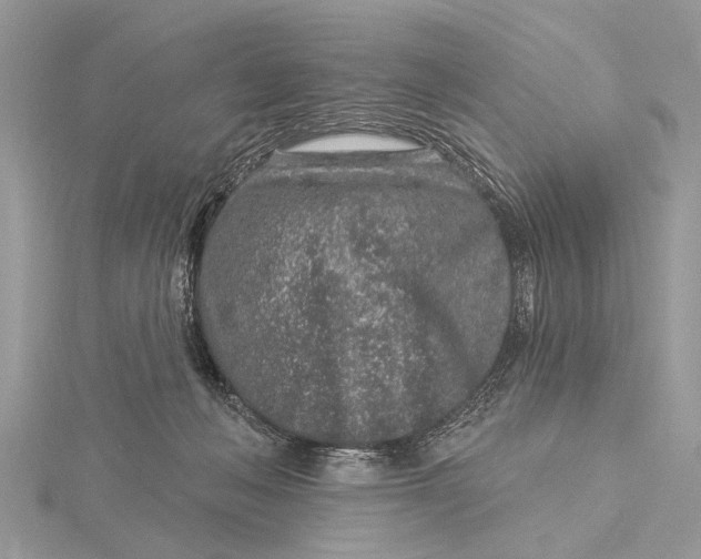 X0000115630222200912011447