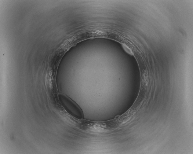 X0000115630223200912011447