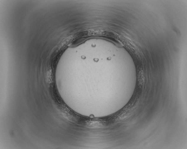 X0000115630224200912011447