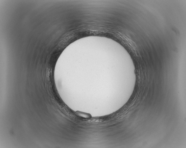 X0000115630225200912011447