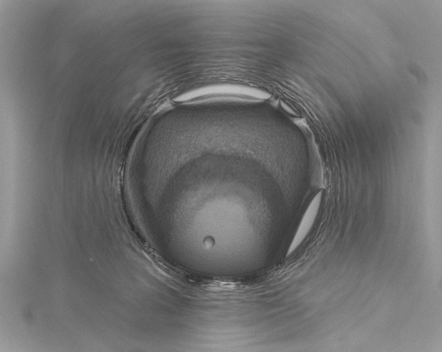 X0000115630227200912011447